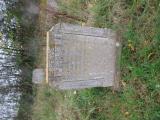image of grave number 539950